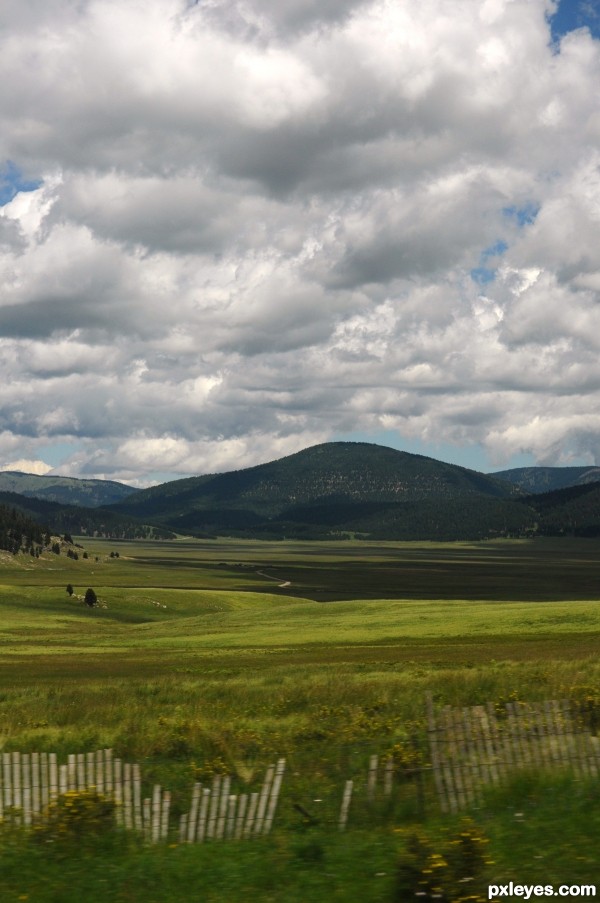 New Mexico Farm