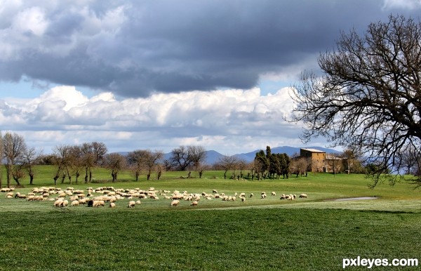 Umbria countryside