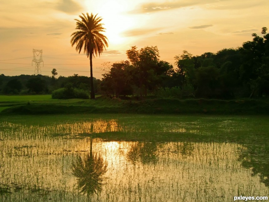 Waterlogged farm photoshop picture)