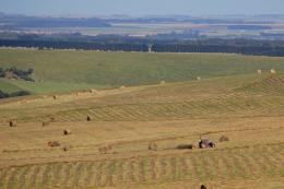 Baling hay