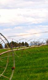 Farmland symmetry