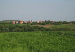 Homeland