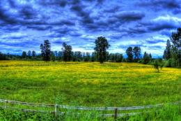 TheFarm