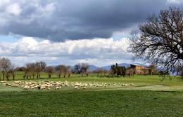 Umbria countryside