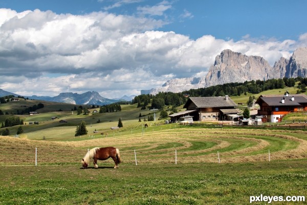 Alpe di Siusi