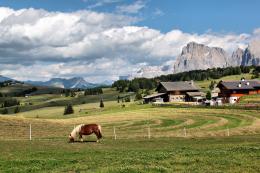 Alpe di Siusi