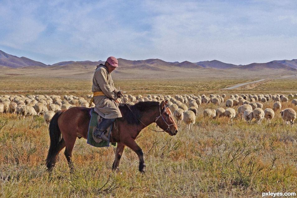 Sheep Country