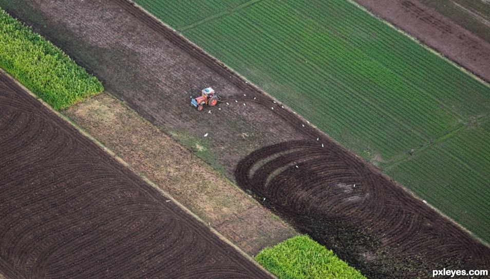 Tractor Wheelies