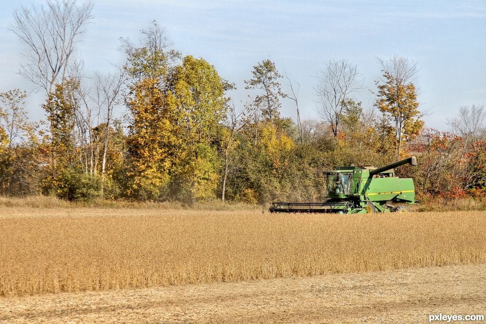 Harvest Time