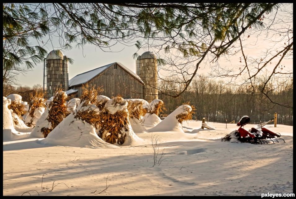 Winter Stores