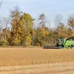 HarvestTime