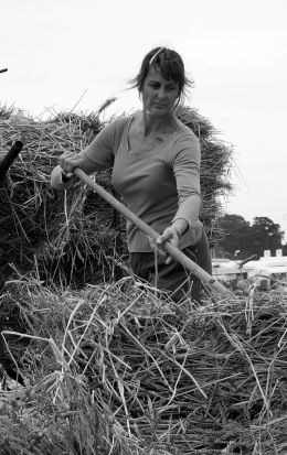 Making hay While the sun Shines