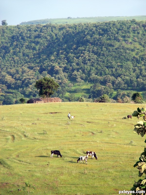 Farm on Hill