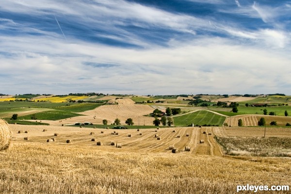 Hay making