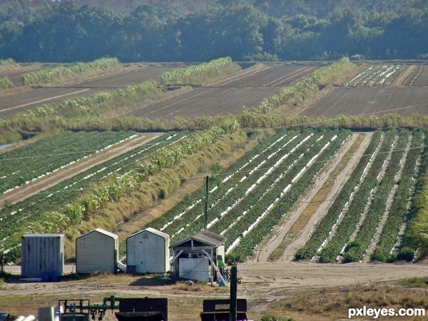 Someones Field of Dreams