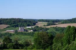 Family Farm