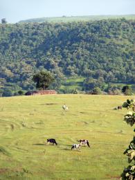 Farm on Hill