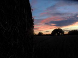 Haybale