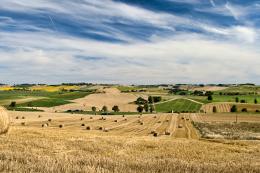 Haymaking