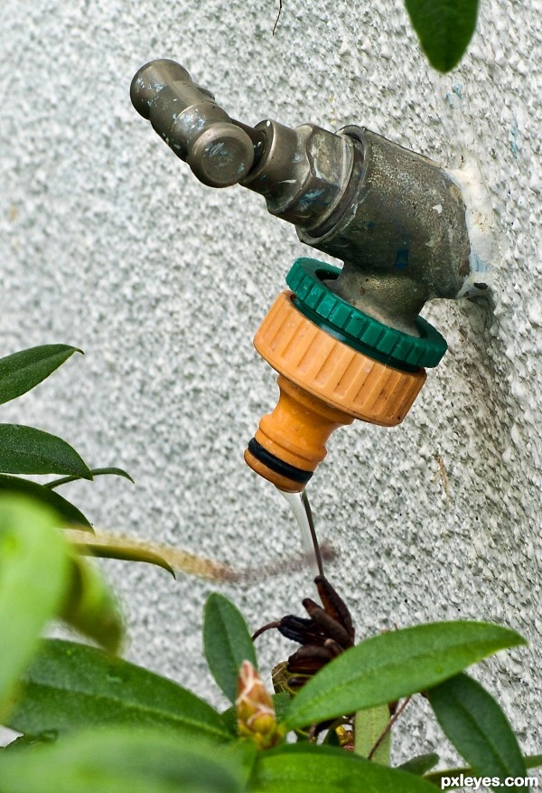 Garden tap