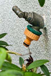 Gardentap