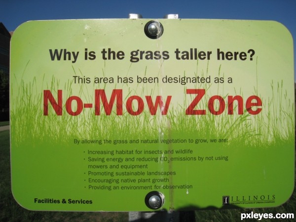 NO MOw zone