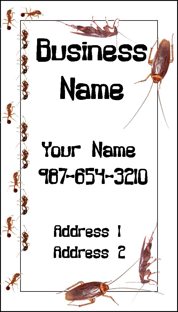 Creation of alien ant farm: Step 2