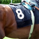 favorite number photography contest