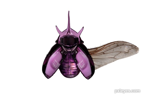 Creation of nameless: Step 9