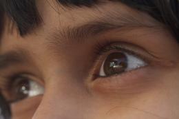 Vision