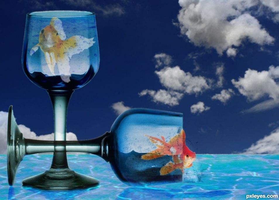 Creation of Fish in Glass: Final Result