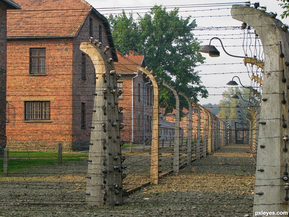 Auschwitz