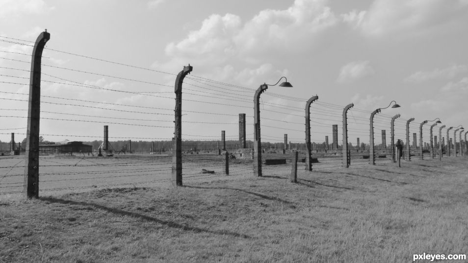 Birkenau