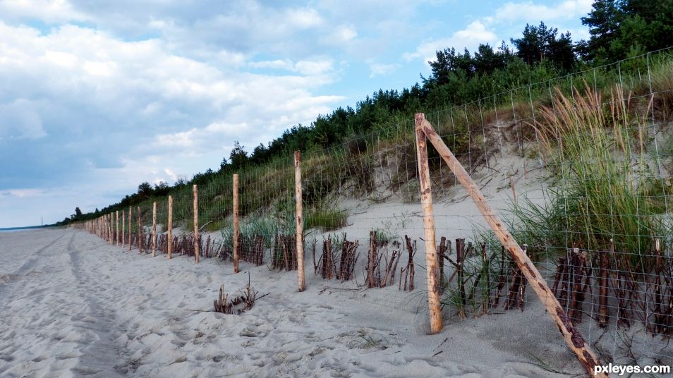 Protecting the dunes