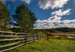 Fence