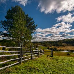 Fence