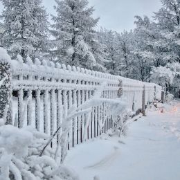 SnowFence