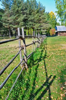 Summer Fence