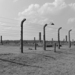 Birkenau