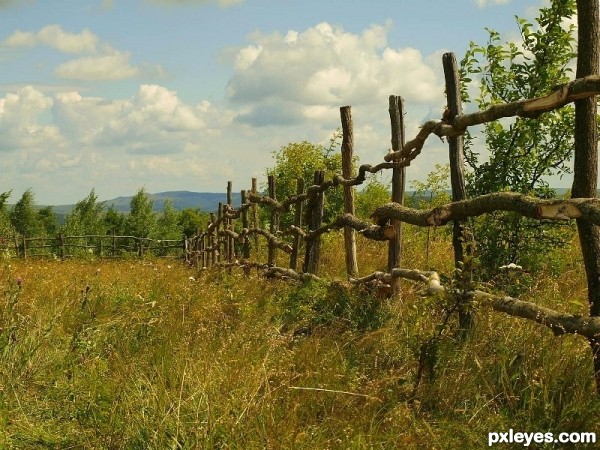 Farm fence photoshop picture)