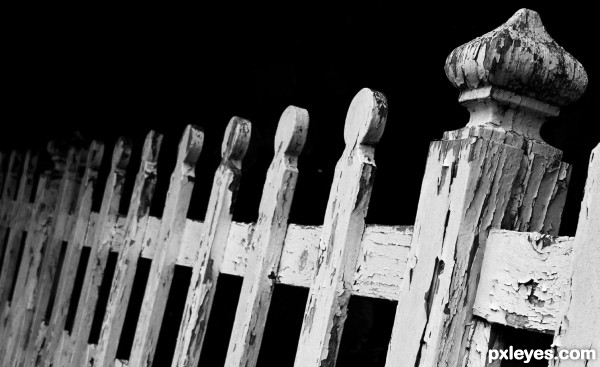 Old fence