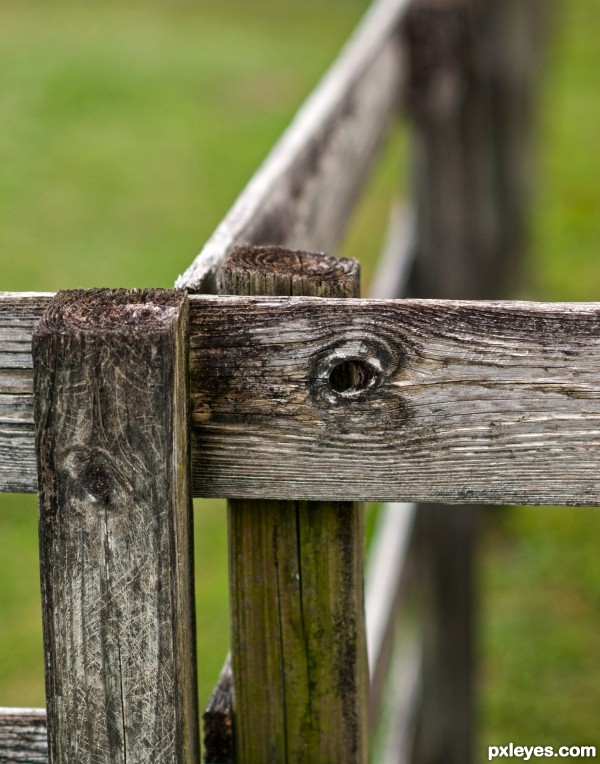 Pasture divider