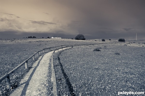 Wooden fence.