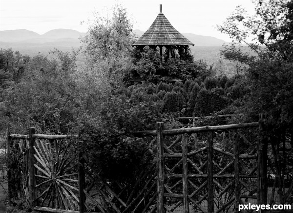 unique wood fence