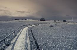 Wooden fence.