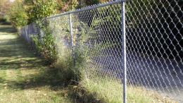 no frills chain link fence