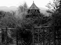 unique wood fence