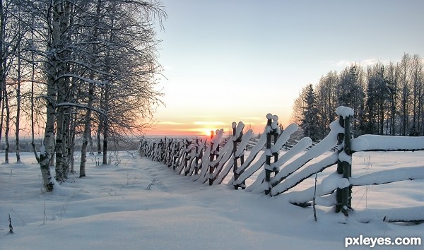 Fence and Sunset