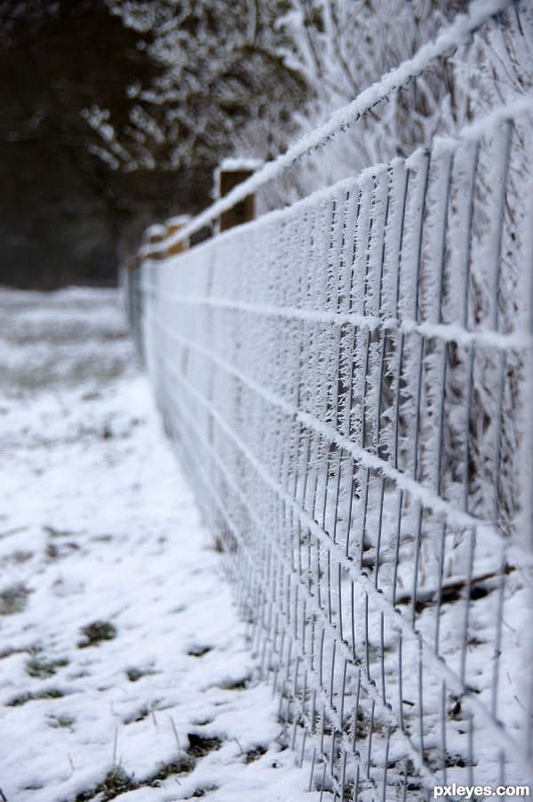 Frozen fence