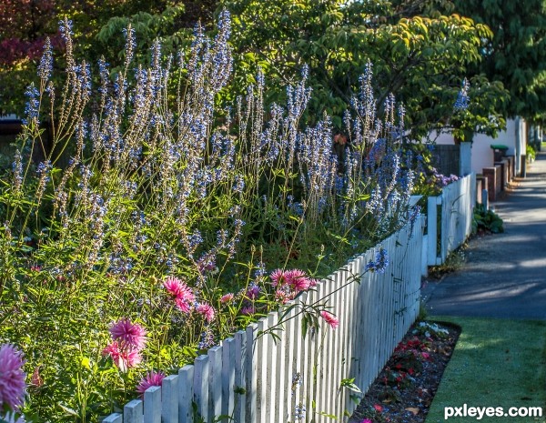 Gardners fence